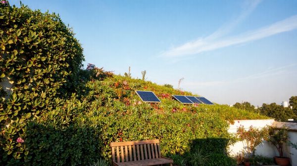 Pourquoi choisir une toiture végétalisée pour votre habitat ?